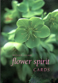 Flower Spirit Cards Book Cover